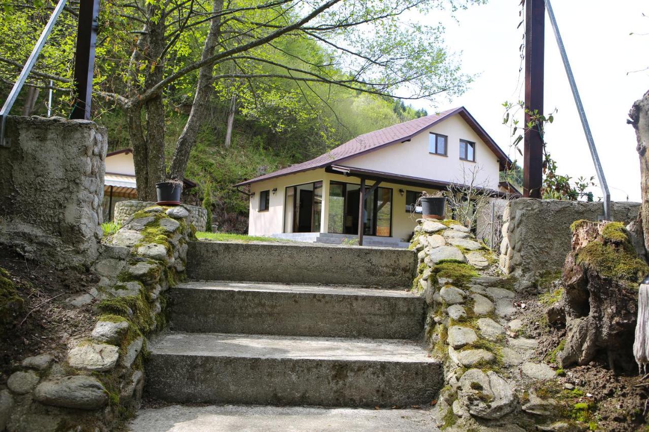 Pensiunea Tudor Breaza מראה חיצוני תמונה